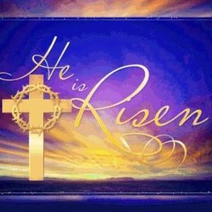 Meet your Posher, Dona